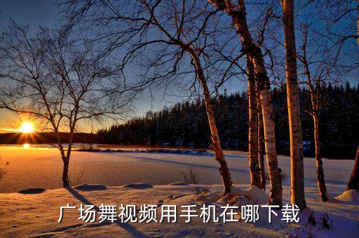 广场舞视频用手机在哪下载