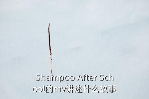 Shampoo After School的mv讲述什么故事