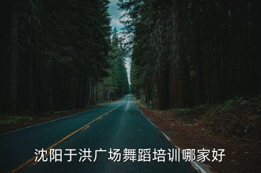 沈阳于洪广场舞蹈培训哪家好