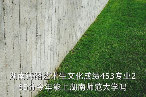 湖南舞蹈艺术生文化成绩453专业265分今年能上湖南师范大学吗