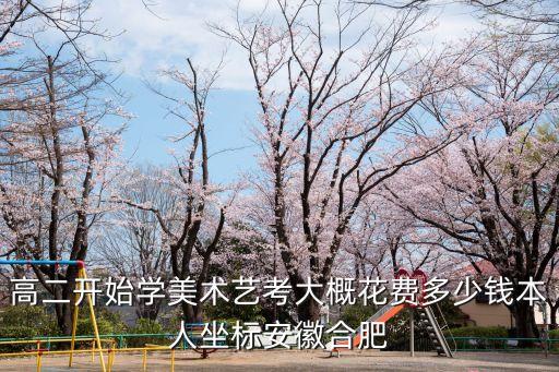 高二开始学美术艺考大概花费多少钱本人坐标安徽合肥