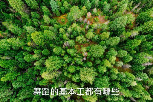 舞蹈的基本功有哪些，舞蹈的基本工都有哪些