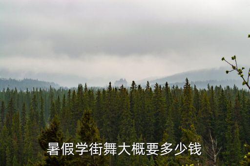 暑假学街舞大概要多少钱