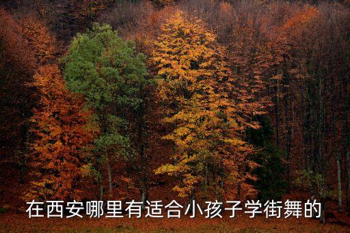 在西安哪里有适合小孩子学街舞的
