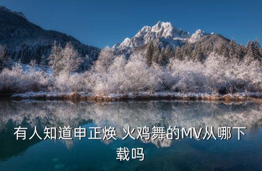 有人知道申正焕 火鸡舞的MV从哪下载吗