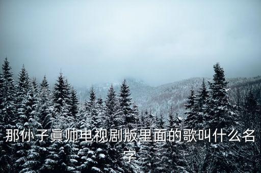 潘壳楦璧那子还有一首歌叫什么，那仦子眞帅电视剧版里面的歌叫什么名字