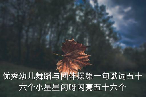 我是一颗跳跳糖幼儿园舞蹈，优秀幼儿舞蹈与团体操第一句歌词五十六个小星星闪呀闪亮五十六个