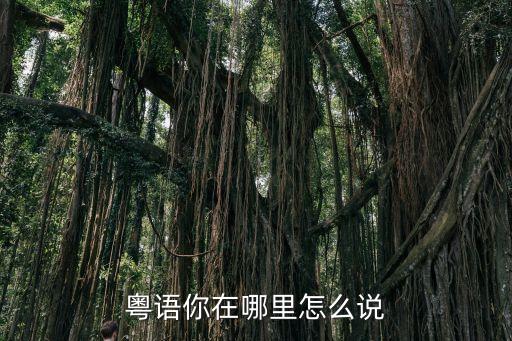 粤语你在哪里怎么说