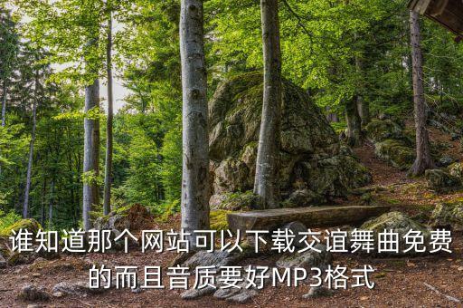 谁知道那个网站可以下载交谊舞曲免费的而且音质要好MP3格式