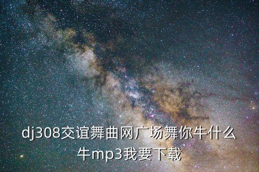 dj308交谊舞曲网广场舞你牛什么牛mp3我要下载