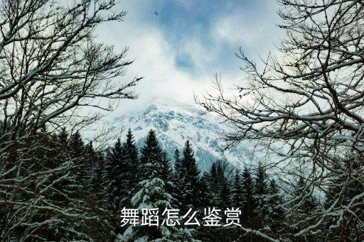 舞蹈怎么鉴赏