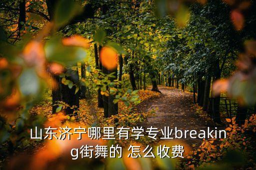 山东济宁哪里有学专业breaking街舞的 怎么收费
