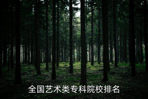 全国艺术类专科院校排名