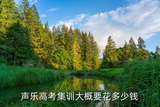声乐高考集训大概要花多少钱