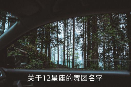 关于12星座的舞团名字