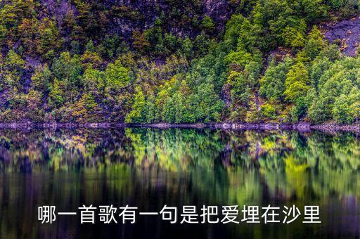 哪一首歌有一句是把爱埋在沙里