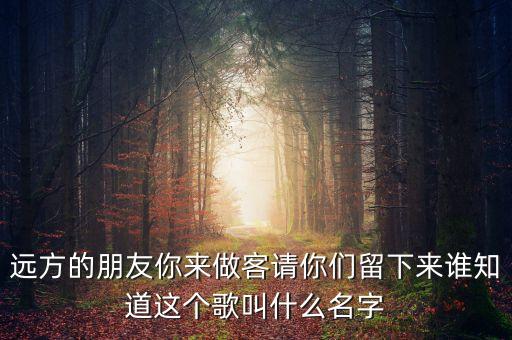 远方的朋友你来做客请你们留下来谁知道这个歌叫什么名字