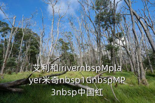 艾利和irivernbspMplayer米奇nbsp1GnbspMP3nbsp中国红