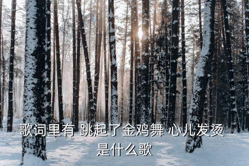 跳一支金鸡舞的广场舞歌名是什么，歌词里有 跳起了金鸡舞 心儿发烫 是什么歌