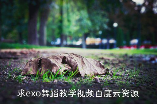 求exo舞蹈教学视频百度云资源