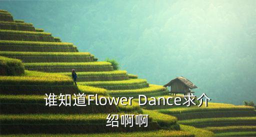 谁知道Flower Dance求介绍啊啊