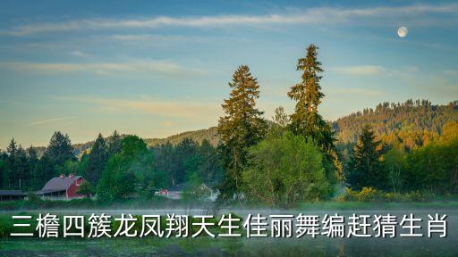 三檐四簇龙凤翔天生佳丽舞编赶猜生肖