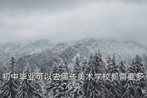 初中毕业可以去哪些美术学校都需要多少分