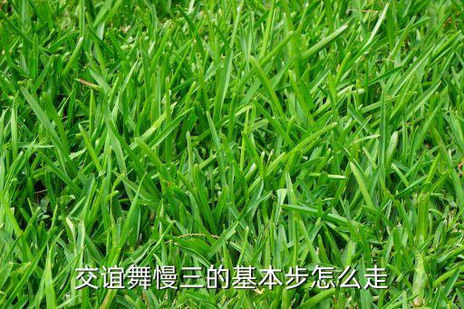 交谊舞慢三的基本步怎么走