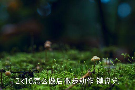 广场舞情人桥16步慢动作，重庆哪里有买日本和服的商店
