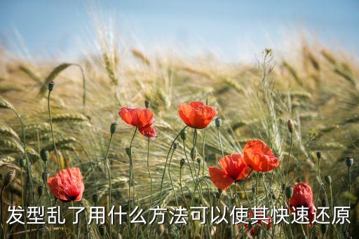 发型乱了用什么方法可以使其快速还原