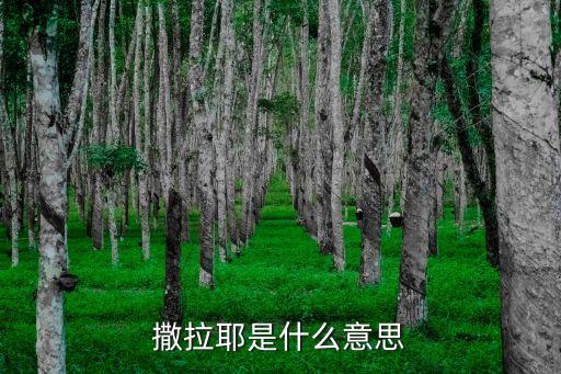 撒拉耶是什么意思