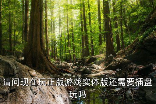 请问现在玩正版游戏实体版还需要插盘玩吗