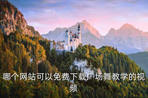 哪里有广场舞天蓬大元帅免费下载，哪个网站可以免费下载广场舞教学的视频