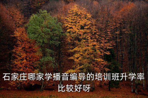 石家庄哪家学播音编导的培训班升学率比较好呀