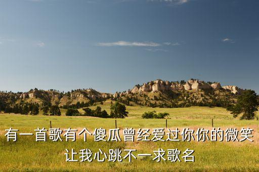 有一首歌有个傻瓜曾经爱过你你的微笑让我心跳不一求歌名