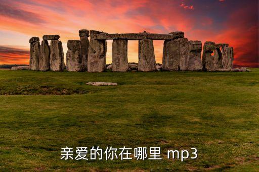 亲爱的你在哪里 mp3