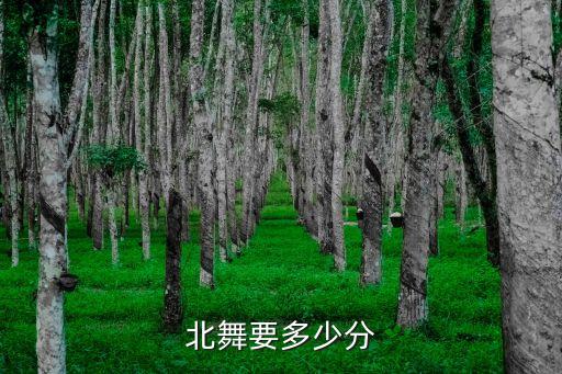 北舞要多少分