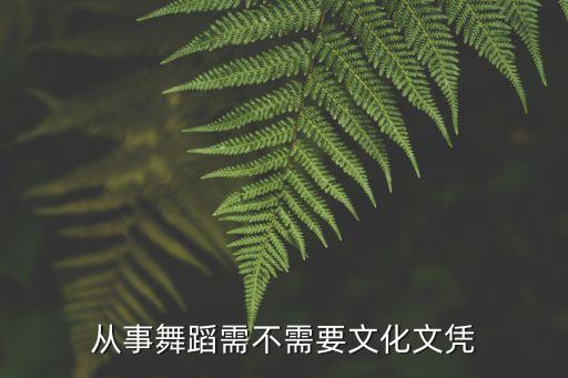 当舞蹈老师需要学历吗，当中小学舞蹈老师需要什么文凭中专毕业的话能当舞蹈老师吗  搜