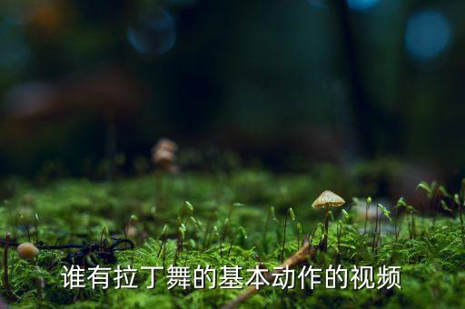 谁有拉丁舞的基本动作的视频