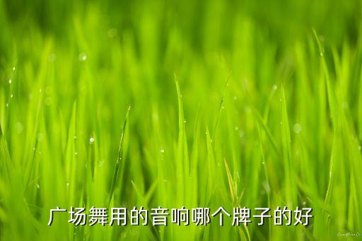 广场舞音响什么品牌最好，什么牌子的音箱适合跳广场舞用