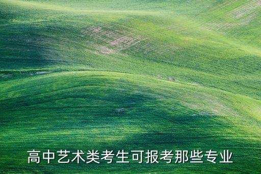 高中艺术类考生可报考那些专业