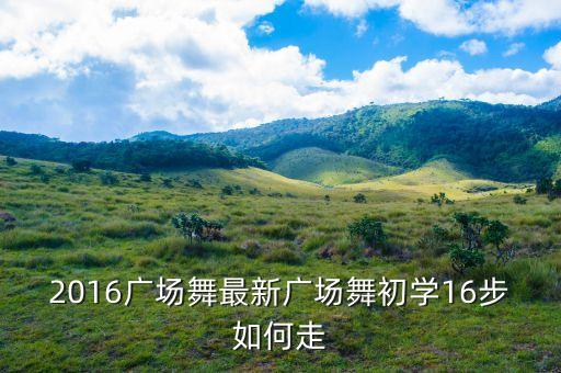 2016广场舞最新广场舞初学16步如何走