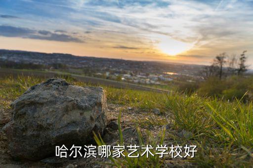 哈尔滨最好的艺考培训学校，哈尔滨哪家艺术学校好