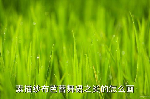 素描纱布芭蕾舞裙之类的怎么画