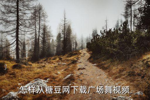 怎样从糖豆网下载广场舞视频