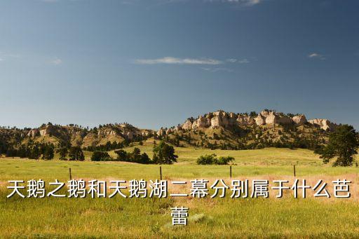 天鹅之鹅和天鹅湖二幕分别属于什么芭蕾