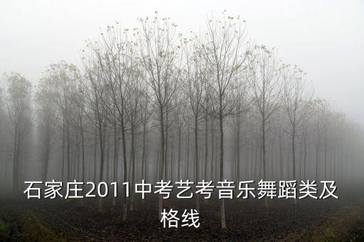 石家庄2011中考艺考音乐舞蹈类及格线