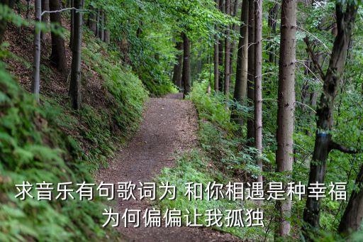 求音乐有句歌词为 和你相遇是种幸福 为何偏偏让我孤独