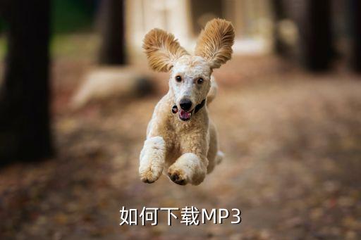 快乐在哪里mp3下载，张信哲 快乐的MP3地址