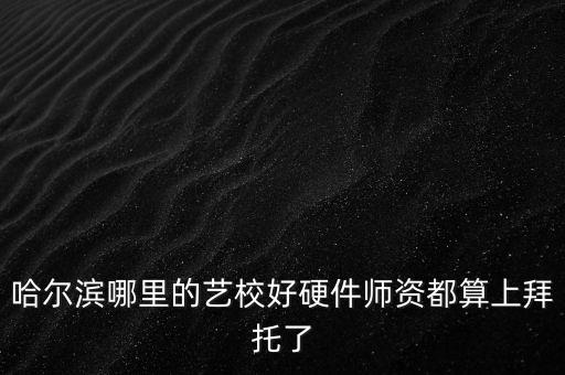 哈尔滨哪里的艺校好硬件师资都算上拜托了